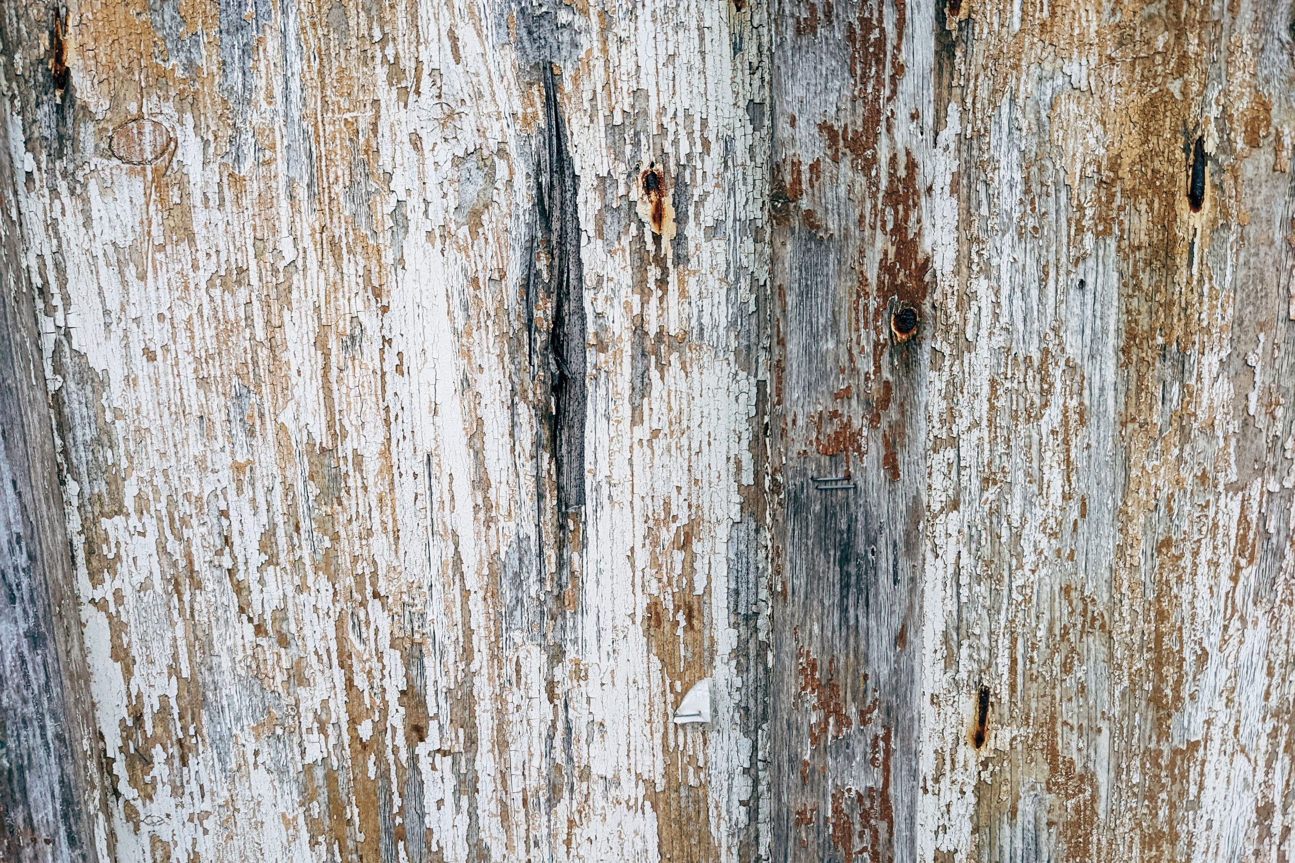 Surface bois gris peinture ecaillee patine