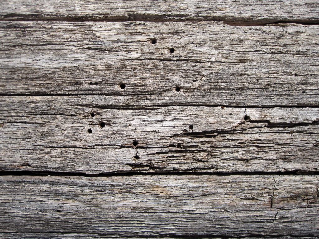 Planches de bois gris weathered texture naturelle