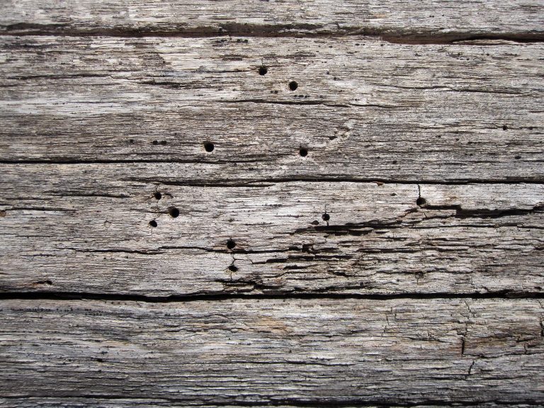 Planches de bois gris weathered texture naturelle