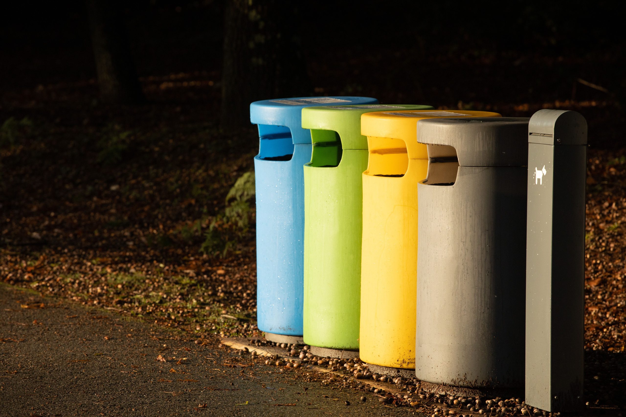 Rangée de poubelles colorées alignées sur un trottoir extérieur