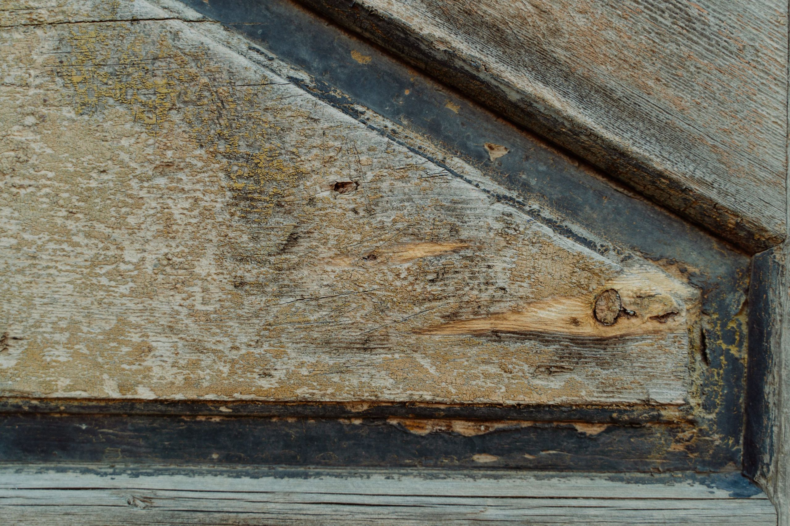 Bois gris vieilli motifs grain intricate