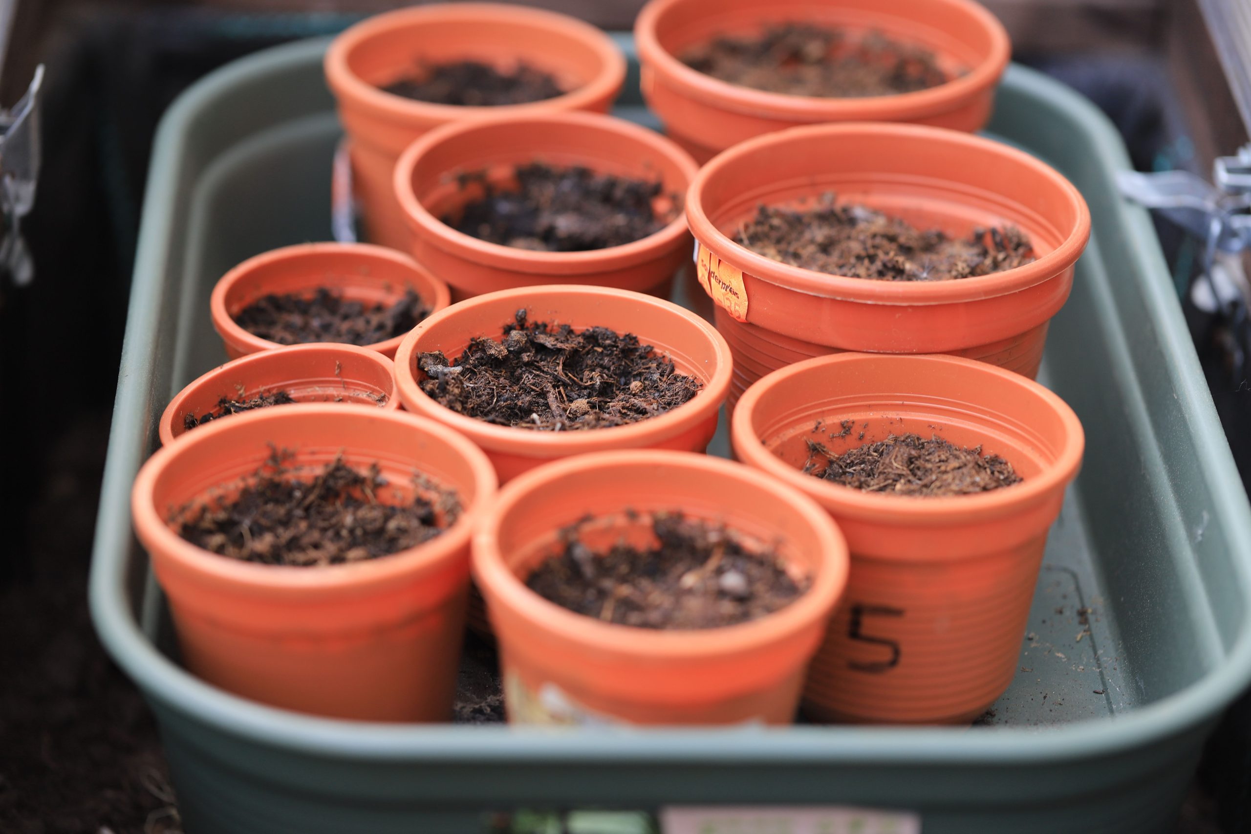 Pots plastique orange remplis terre jardinage