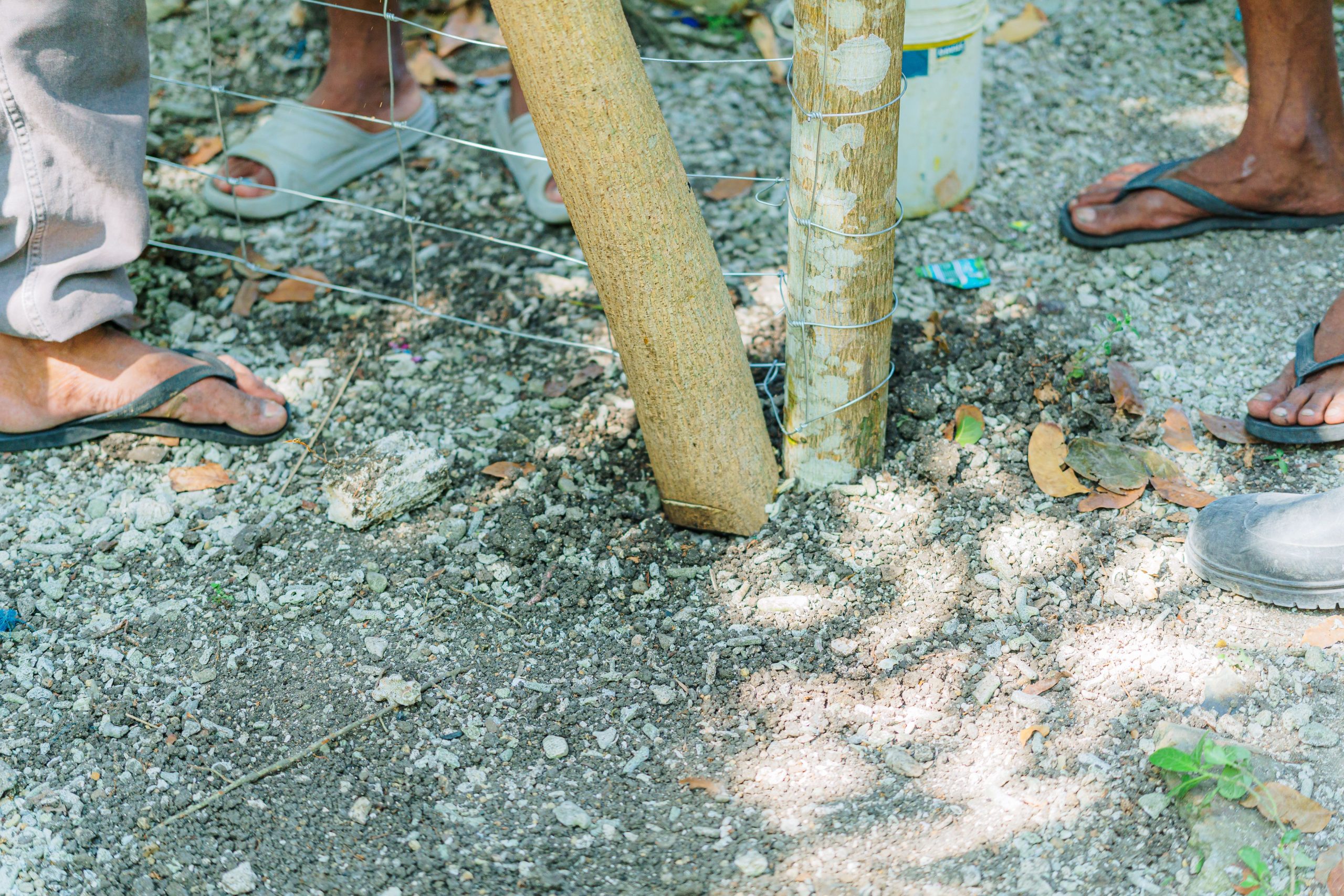 Ouvriers installant poteau bois clôture soleil