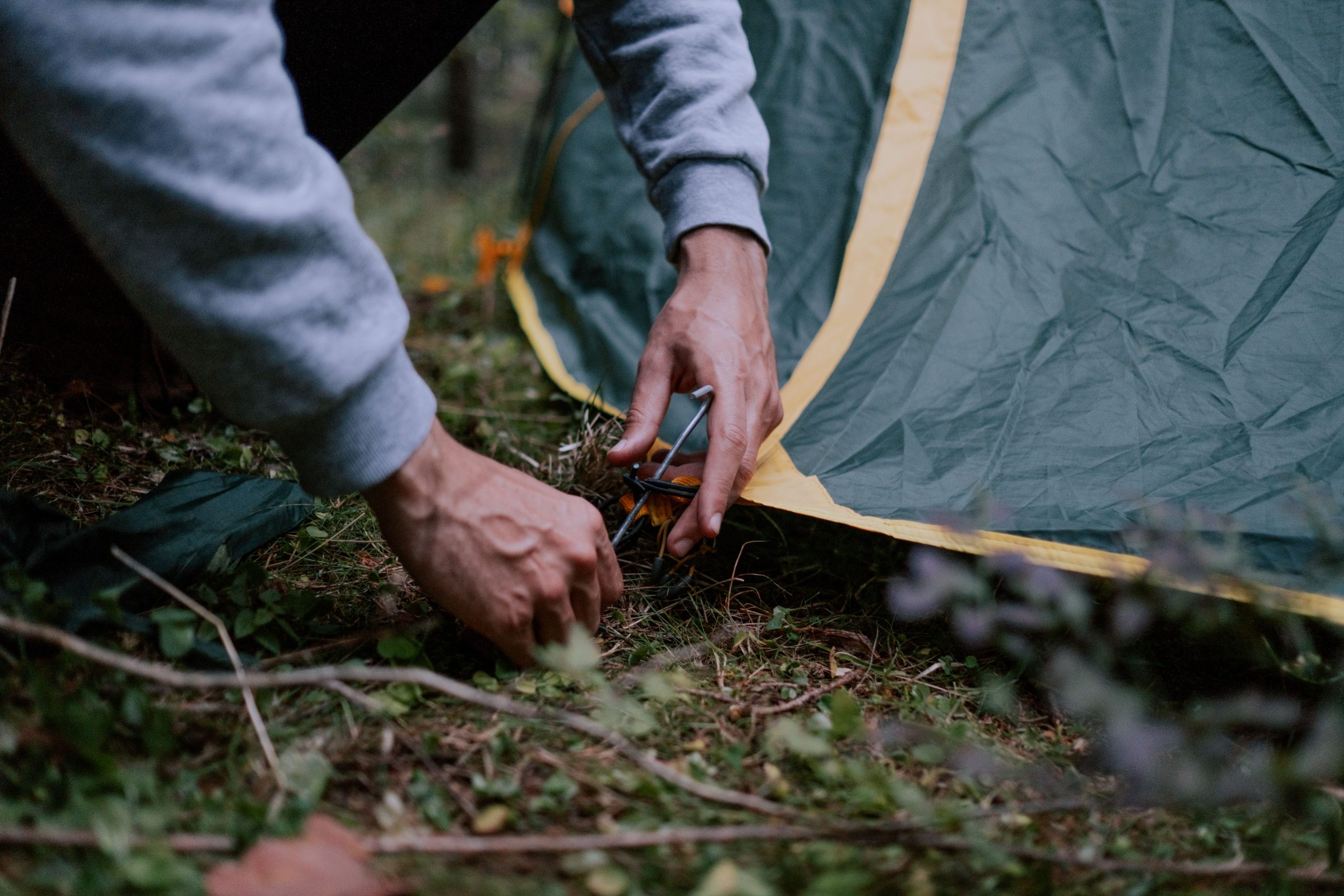 Piquet tente fixé forêt campsite outdoor