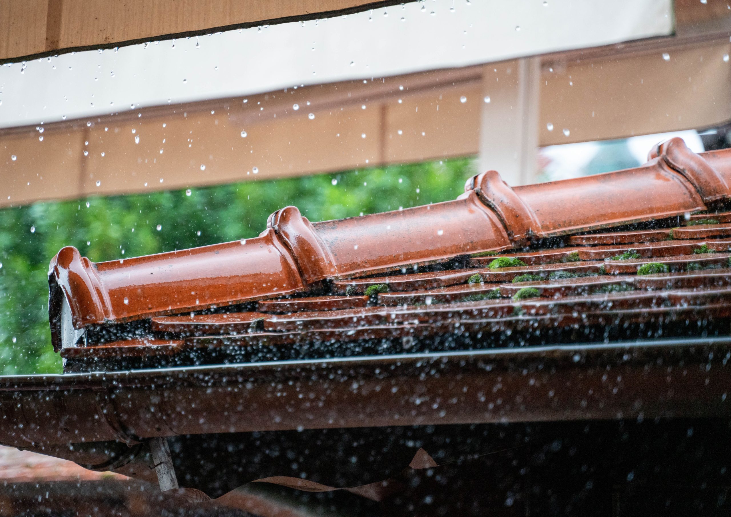 Gouttes pluie ruisselant sur tuiles terracotta